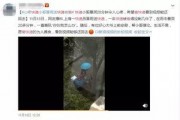 快递爆料小哥视频大全播放,揭秘快递行业幕后故事