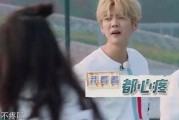 鹿晗热巴爆料新闻,揭秘娱乐圈背后的惊人真相