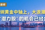 深圳大浪最新的爆料,揭秘区域发展新动向